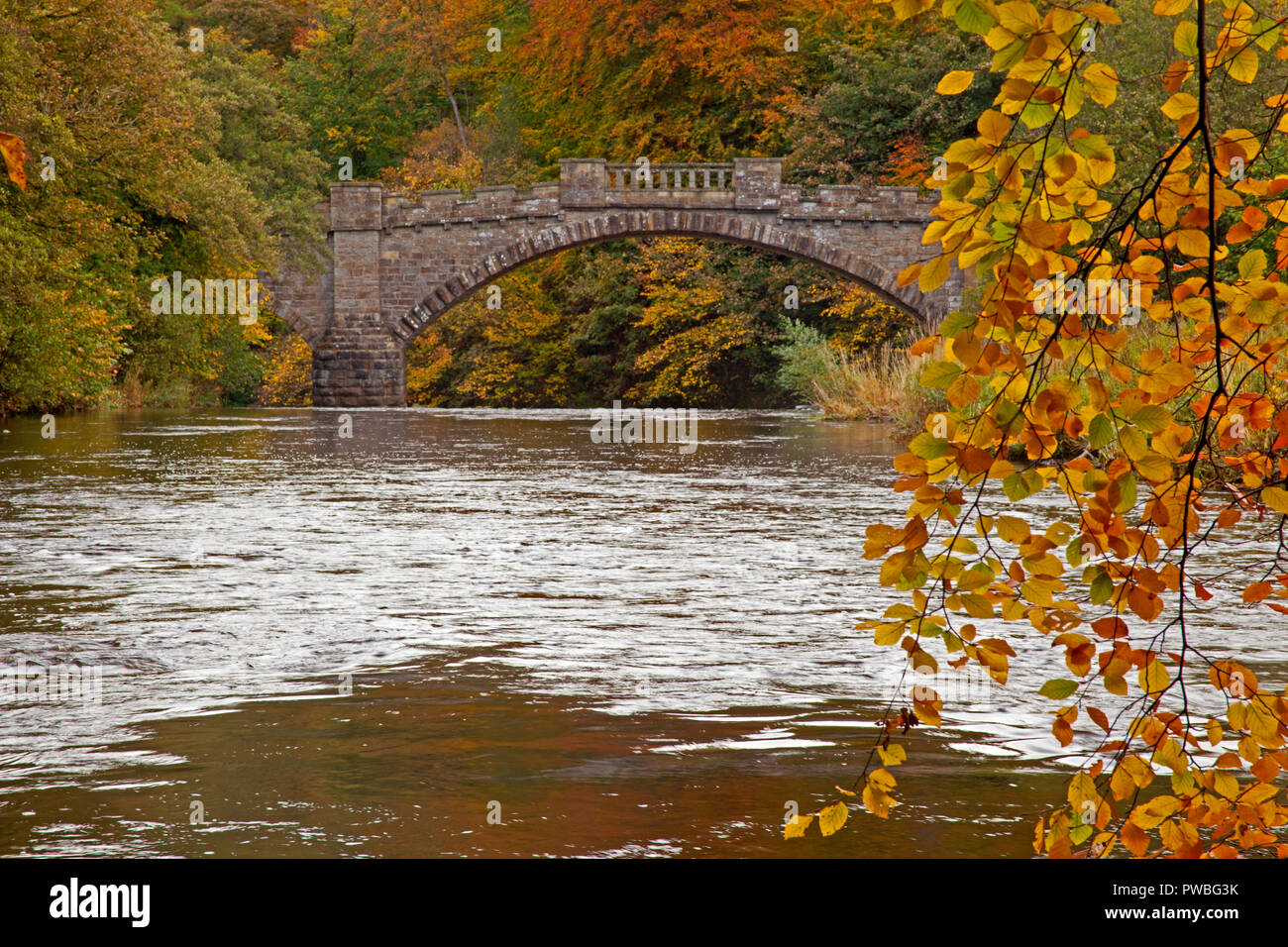 West Lothian, Schottland, Großbritannien. 15. Oktober 2018. Almondell und Calderwood Country Park mit einigen der Herbst Farbe, mit der die Nasmyth Brücke über den Fluss Mandel Stockfoto