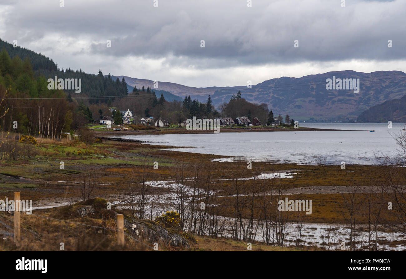 Die rippenbögen Linie der See Duich bei Ebbe, bunten Meer Gras und Treibgut am Ufer. Loch Duich, Wester Ross, Schottland. Stockfoto