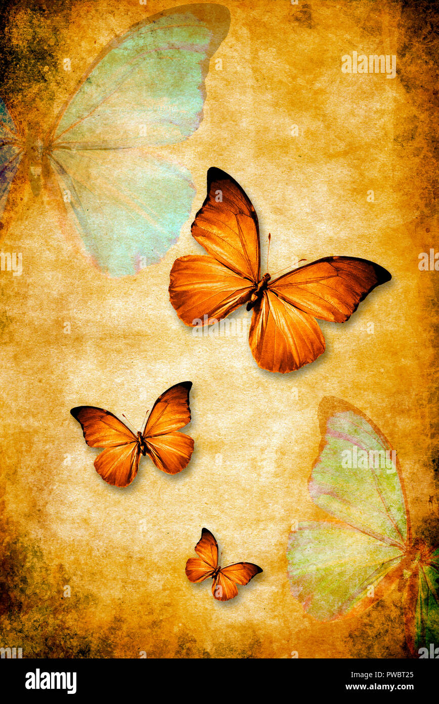 Künstlerische grunge Hintergrund mit Schmetterlingen Stockfoto