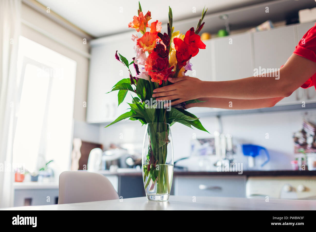 Frau mit roten Blumen in der Vase. Junge Hausfrau kümmert sich um die Gemütlichkeit in der Küche. Moderne Küche Design. Weiß und Silber Küche Stockfoto