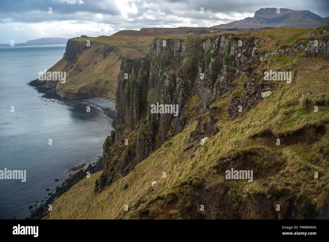 Die steilen Klippen an der Küste in der Nähe von Kilt Rock und der Lealt fällt, Isle of Skye, Schottland, Großbritannien Stockfoto