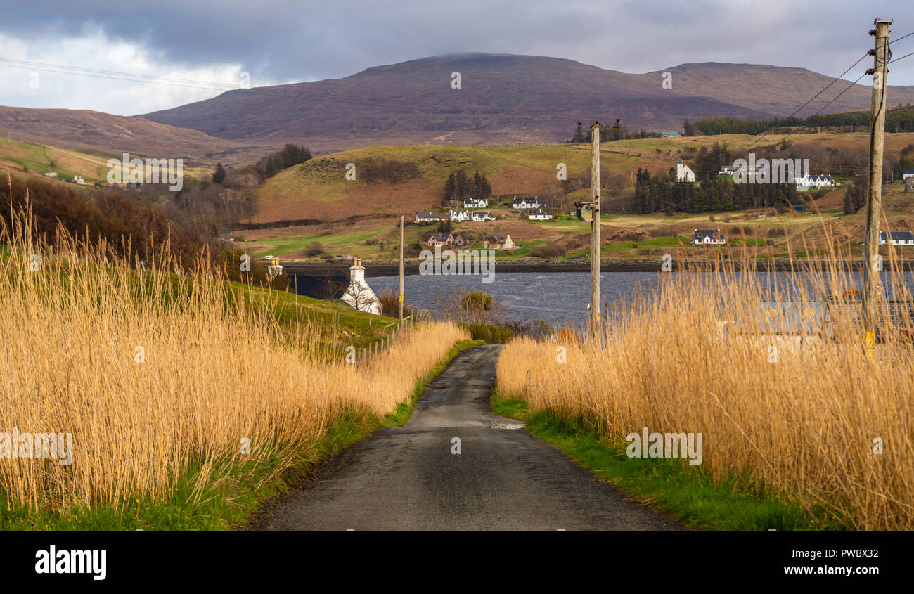 Gras am Straßenrand, Wohnhäuser in der Hafenstadt Uig, Isle of Skye, Schottland, Großbritannien Stockfoto