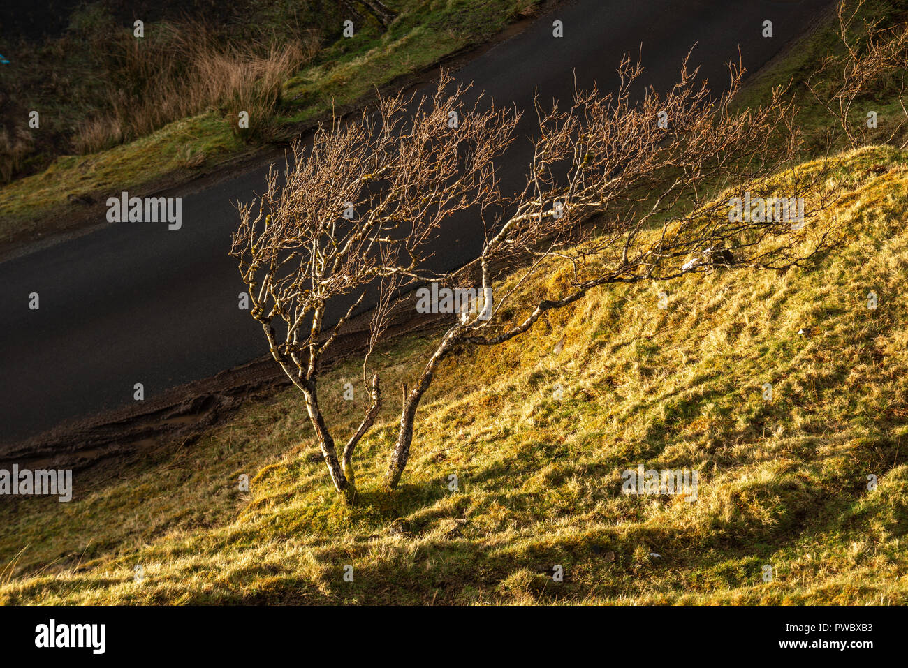 Fairy Glen, Isle Of Skye, Schottland, Großbritannien Stockfoto