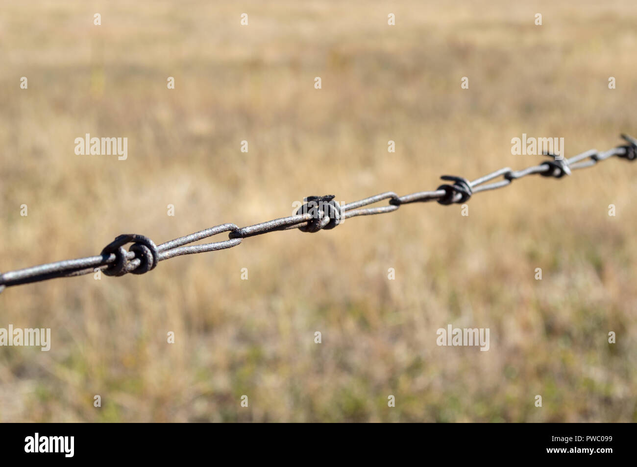 Nahaufnahme von Stacheldraht zaun der Weide in Colorado Stockfoto