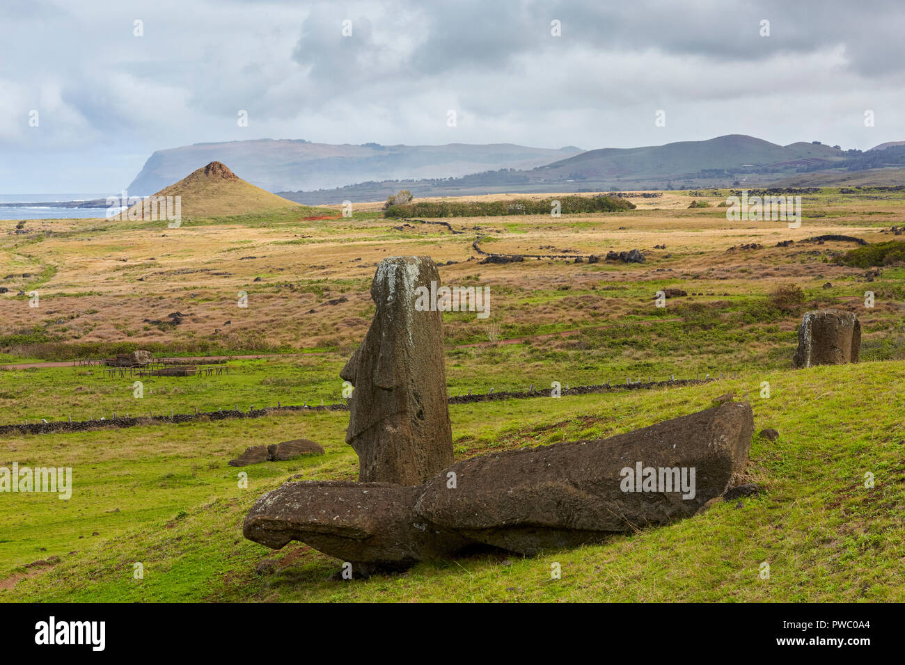 Rano Raraku, Steinbruch, die Osterinsel - Isla de Pascua Stockfoto