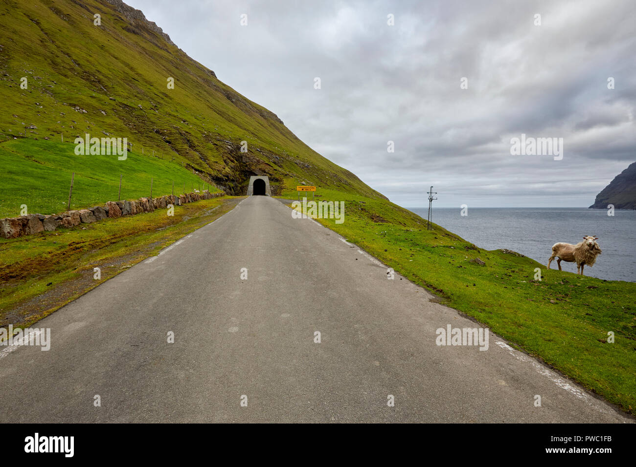 Tunnel und Schafe auf Kalsoy Insel in Färöer Färöer Stockfoto