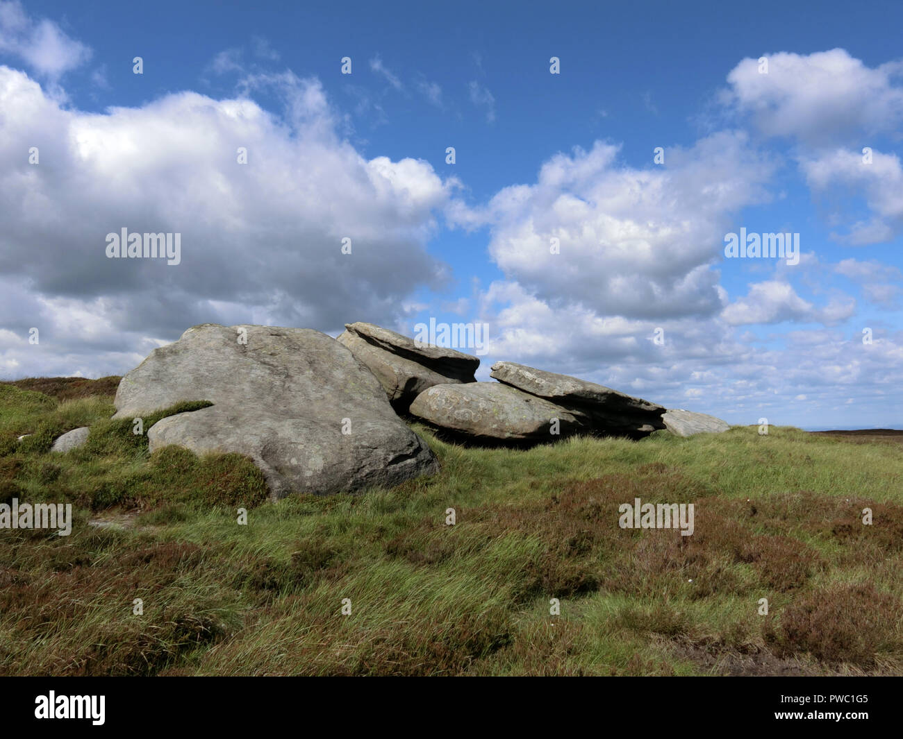 Margery Steine, Margery Hill, Howden Moor, Peak District National Park, South Yorkshire, England, UK im Juni Stockfoto