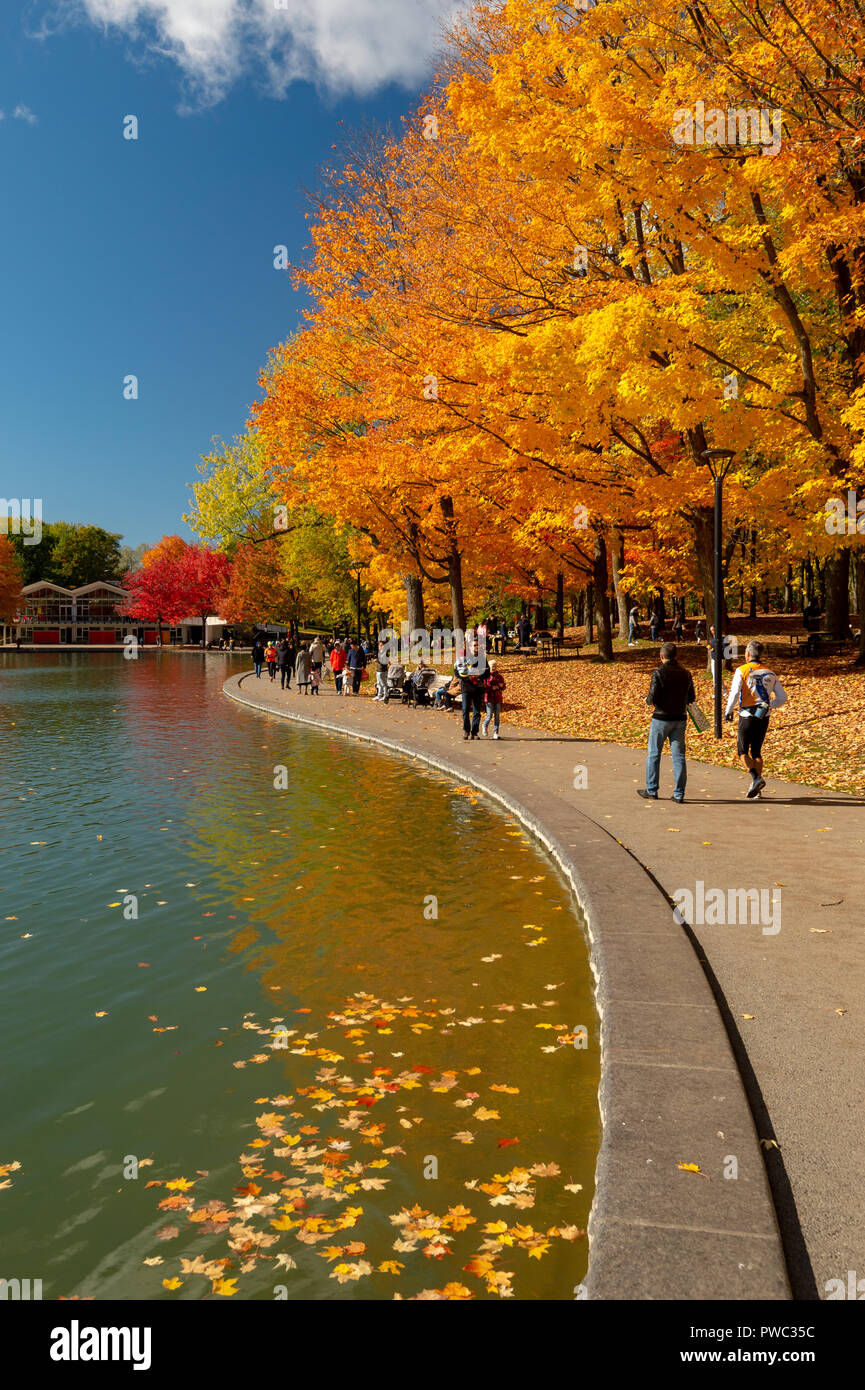 Montreal, Kanada - 14. Oktober 2018: Beaver Lake an der Spitze der Mont-Royal, wie Laub platzt mit Farben des Herbstes. Stockfoto