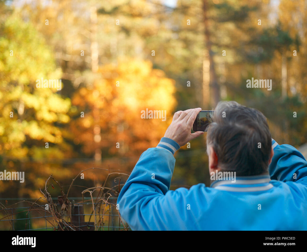 Ein Mann unter Foto auf mobile einer Herbst Wald schöne Farben Stockfoto