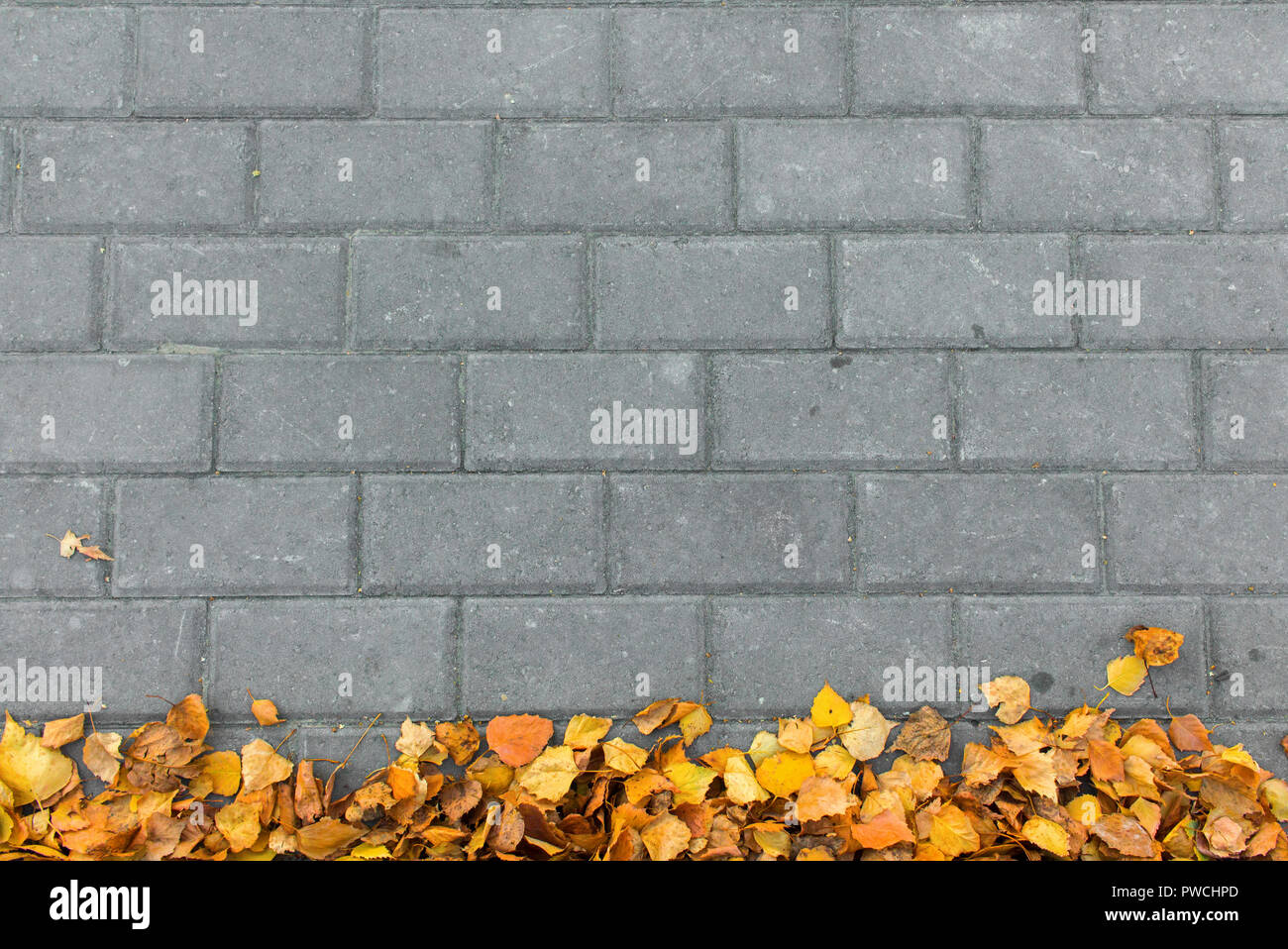 Herbst Blätter auf Stein Steine Top View Stockfoto