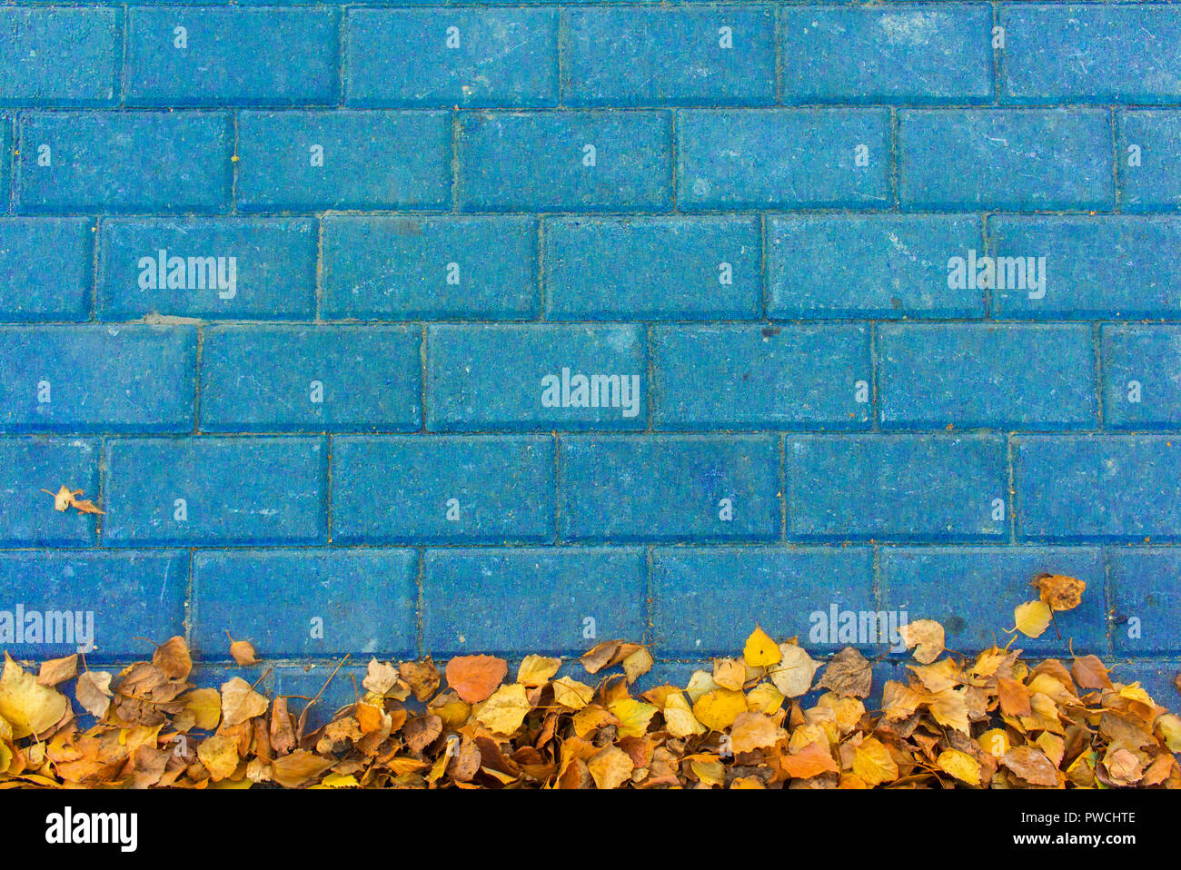 Gelbe Blätter auf blauem Stein Hintergrund Stockfoto