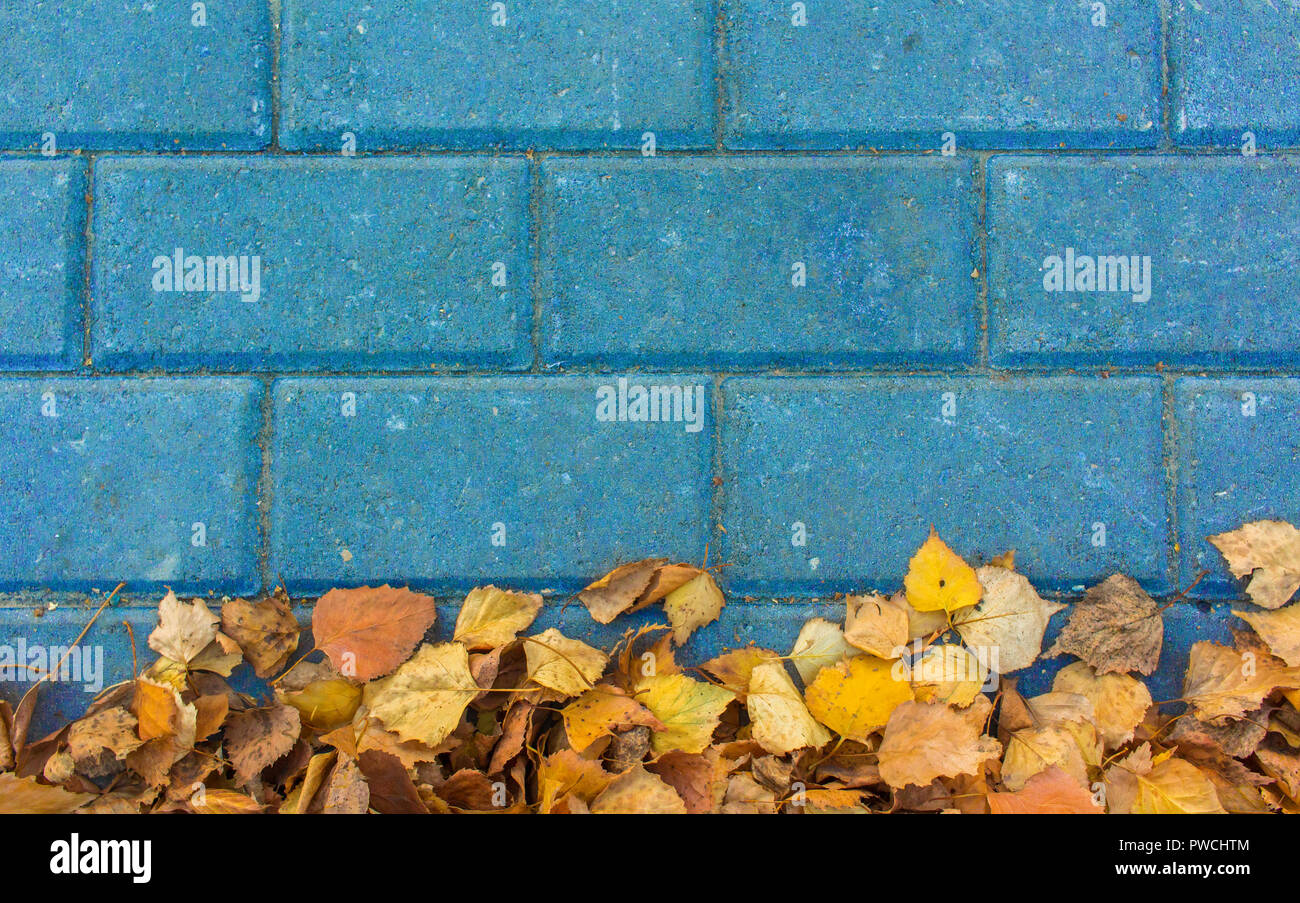 Gelbe Blätter auf blauem Stein Ziegel Hintergrund Stockfoto