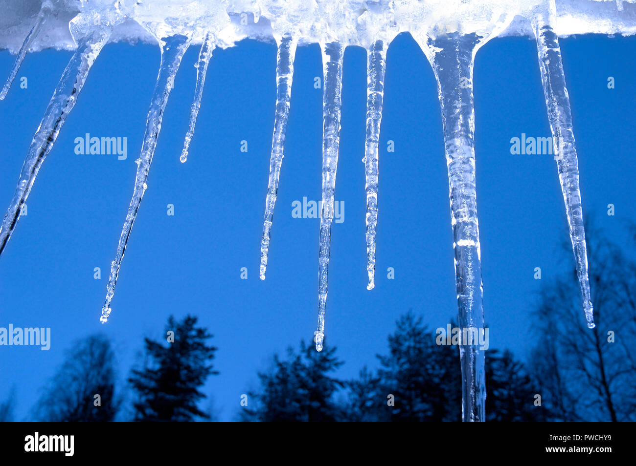 Eiszapfen an der Dachrinne, mit Bäumen und blauen Himmel im Hintergrund Stockfoto