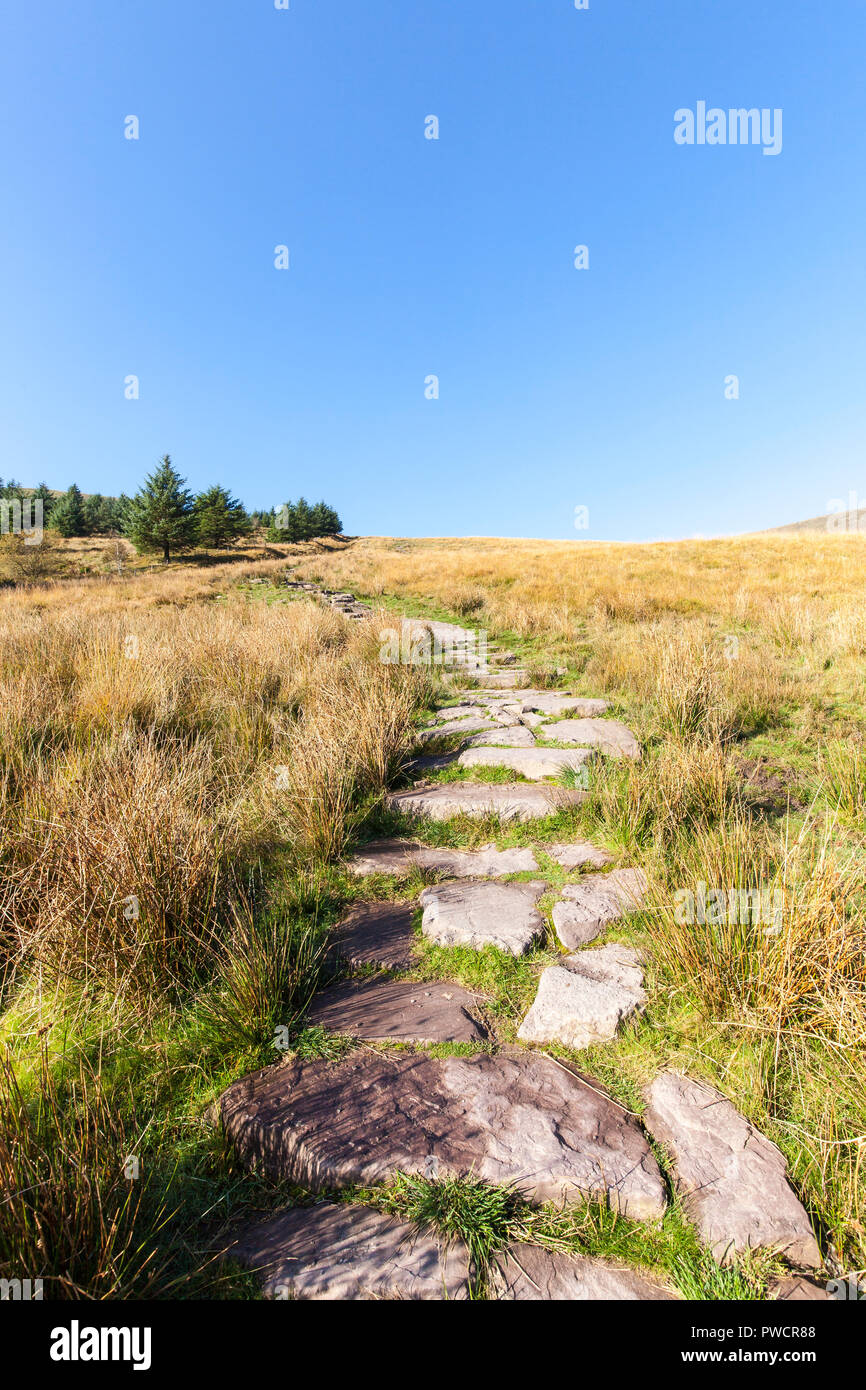 Stein weg in die Brecon Beacons Stockfoto