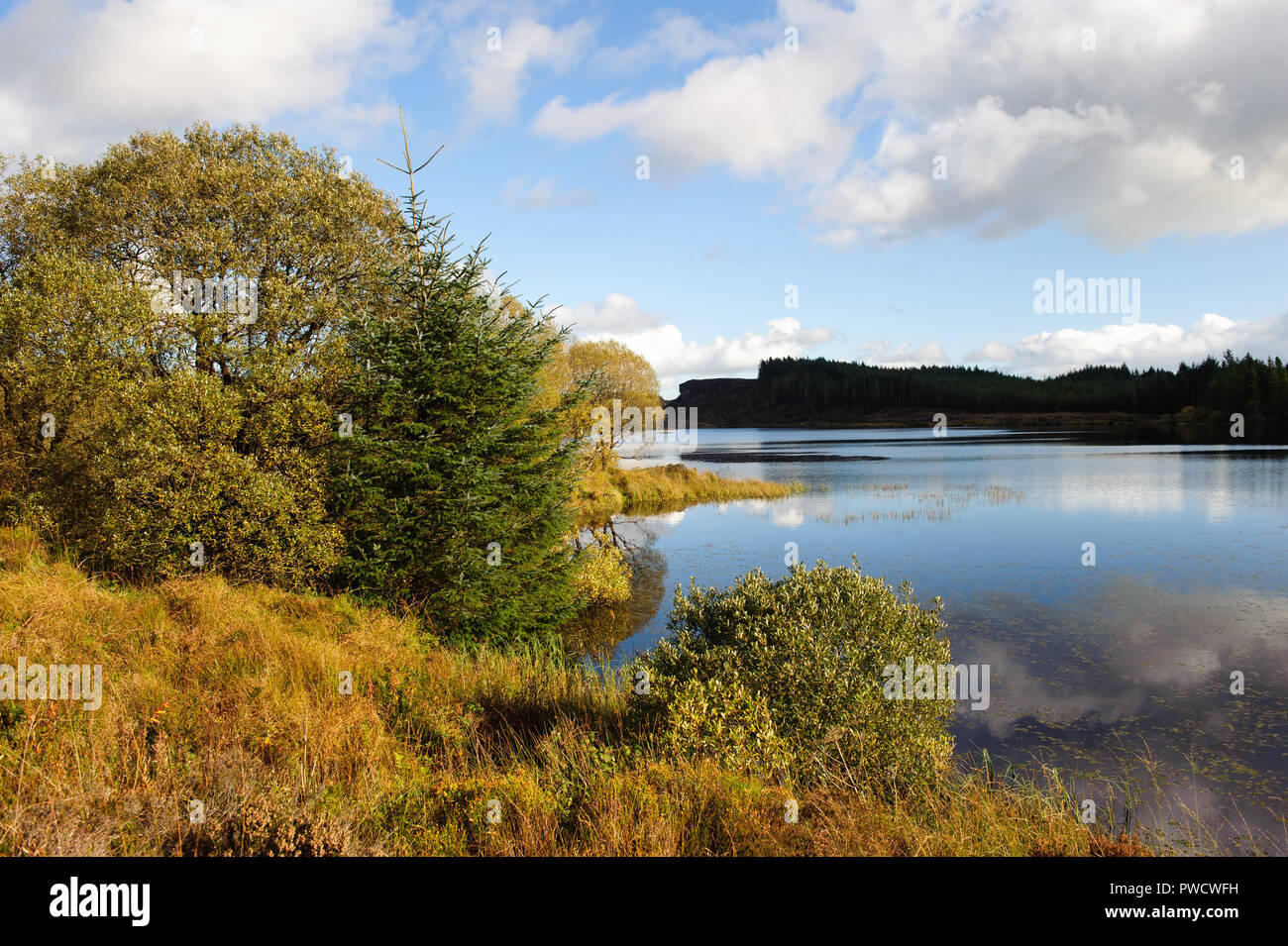 Malerischer Blick auf Meenameen See Lough Navar Forest in Co Fermanagh, Nordinsel Irland Stockfoto