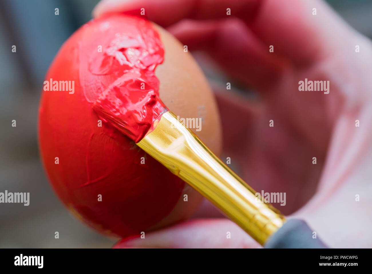 Das Ei ist mit roter Farbe mit einem Pinsel für Weihnachten bemalt. Stockfoto