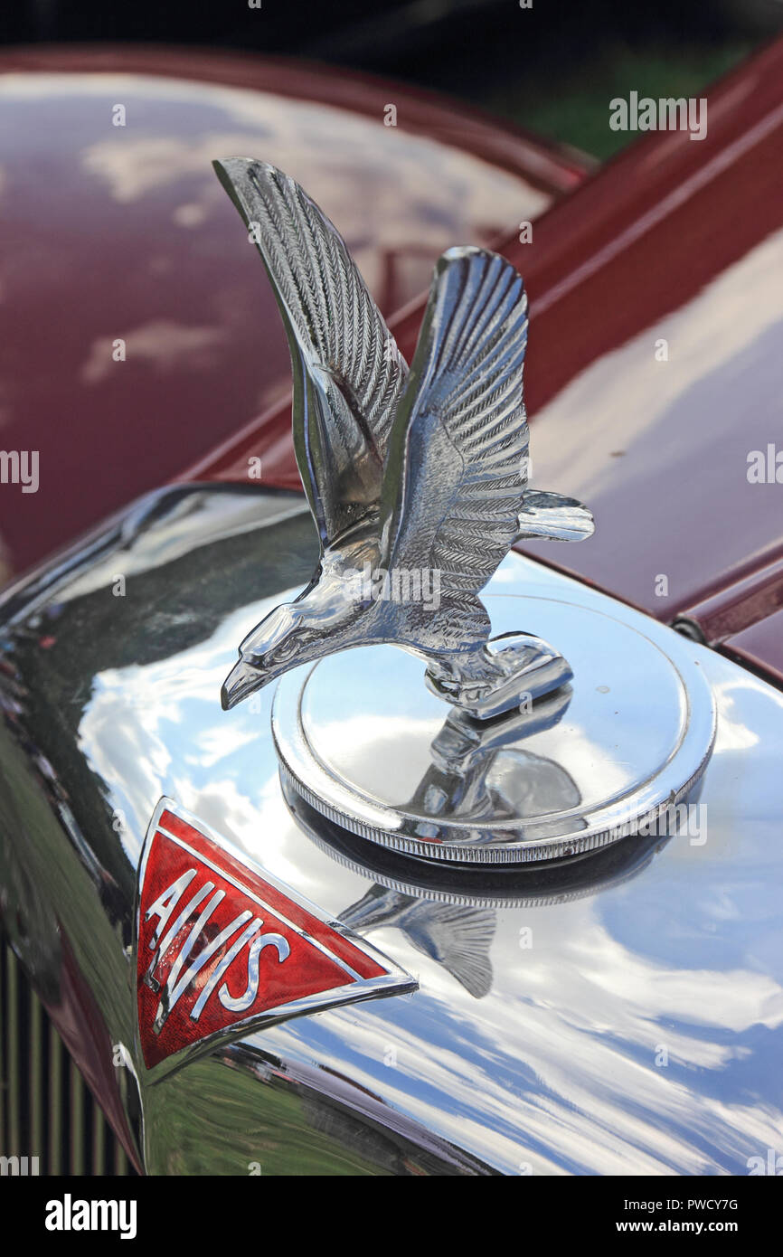 Klassische Alvis car Kühlerfigur Stockfoto
