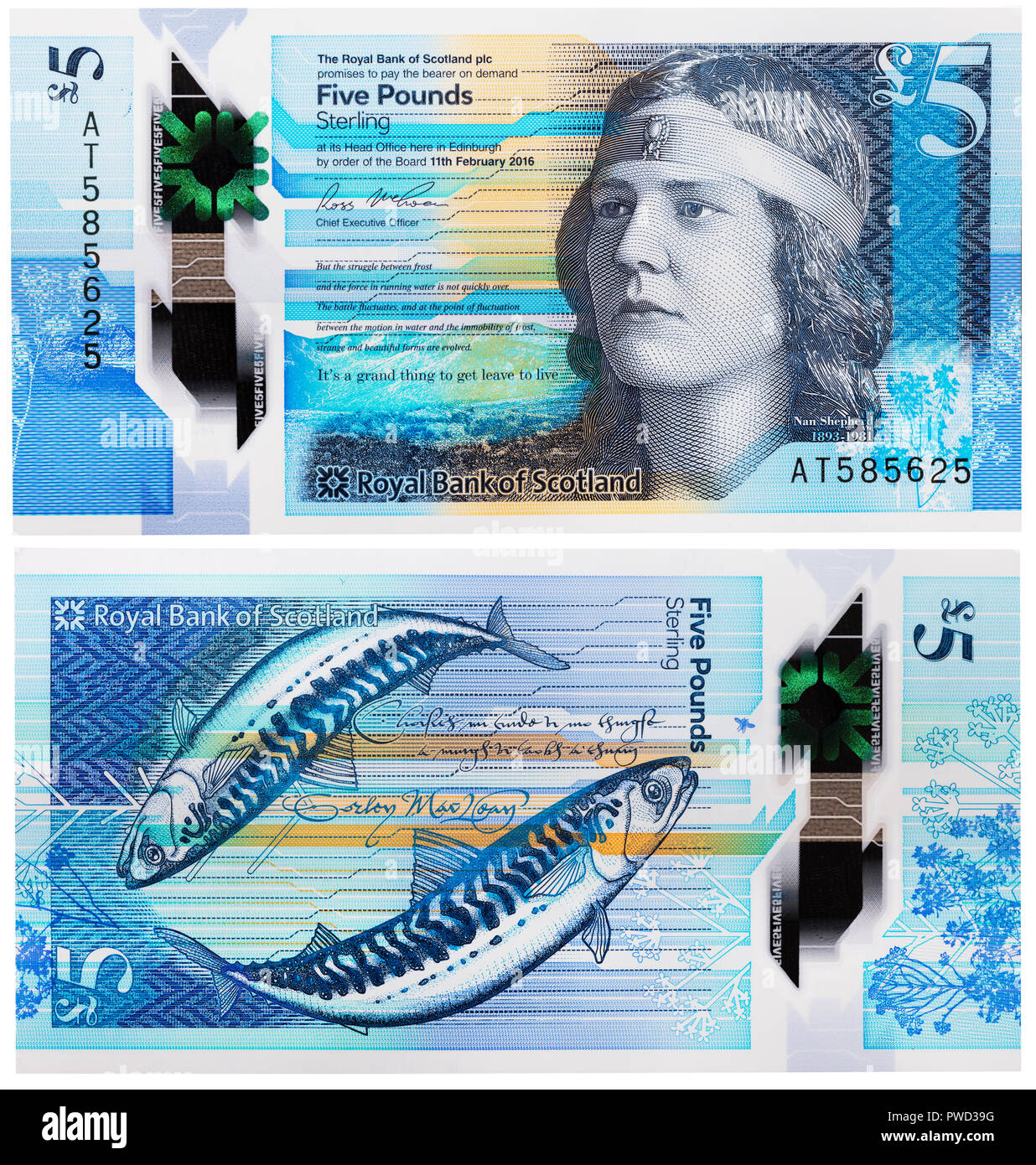 5 pfund Banknote, Nan Hirte, Schottland, 2016 Stockfoto