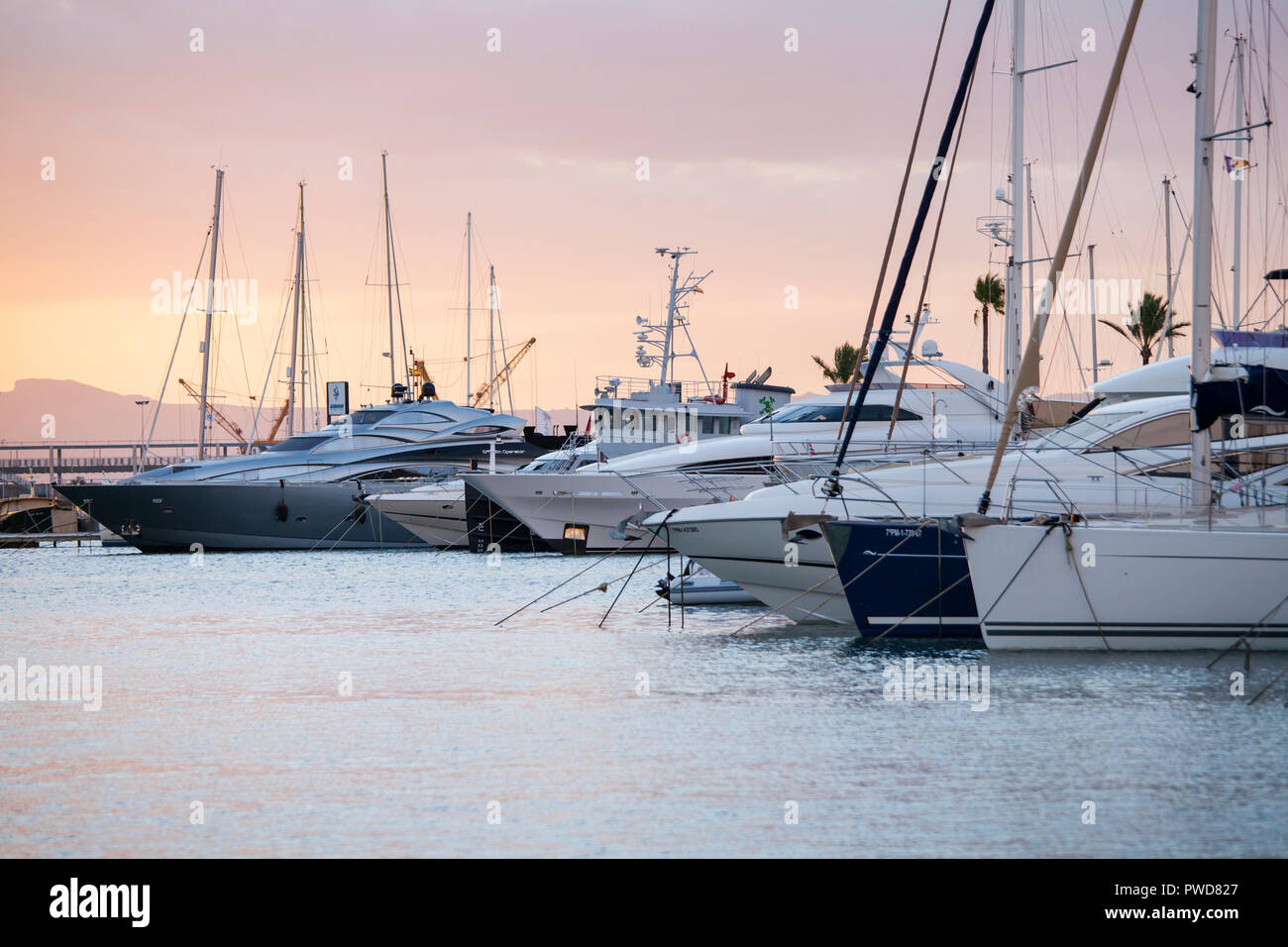PORT DE ALCUDIA, Mallorca, Spanien - 1. Oktober 2018: Luxus Boote Dock in der Marina in der Bucht von Alcudia in den frühen Morgenstunden Stockfoto