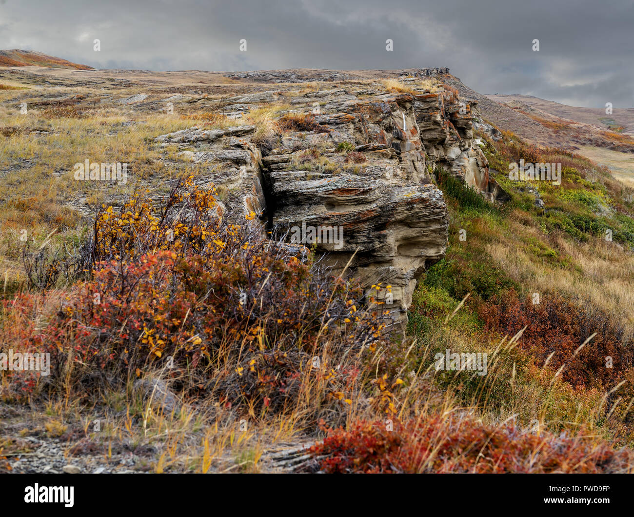 Kopf zertrümmerte in Buffalo Jump in ländlichen Alberta, Kanada. Stockfoto