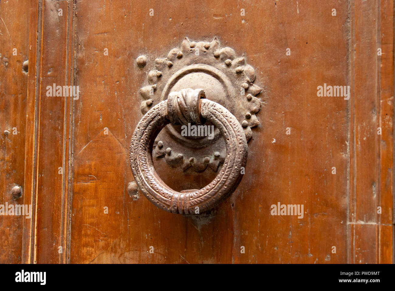Eine ornamentale Tür ziehen auf einer Tür in Florenz, Italien. Stockfoto