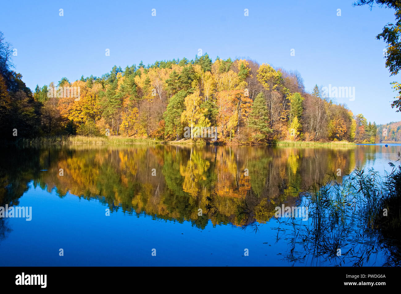 Schöne bunte Bäume Wald im Herbst in einem blauen See wie in einem Spiegel Stockfoto