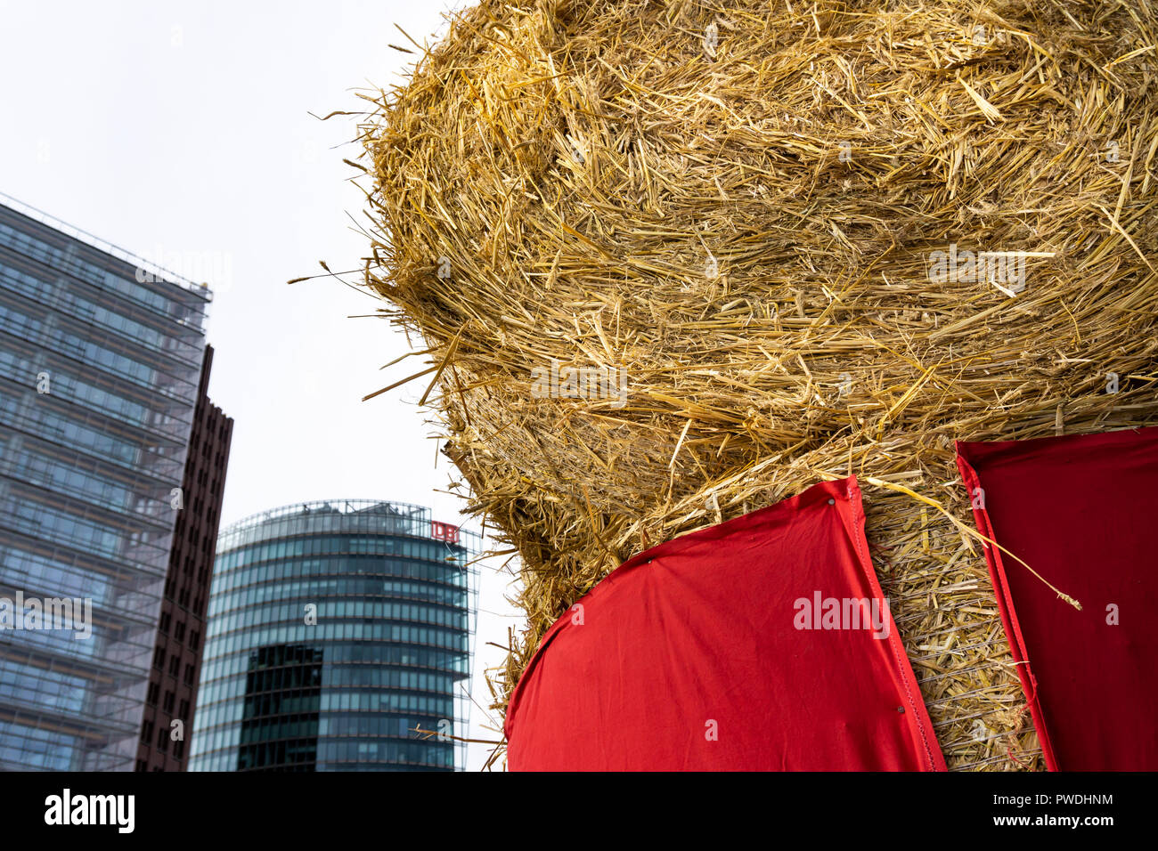 Berlin, Deutschland, 22. September 2018: Nahaufnahme von Stroh ballen Unter die roten Tuch am Potsdamer Platz Anlässlich der landwirtschaftliche Veranstaltung Stockfoto