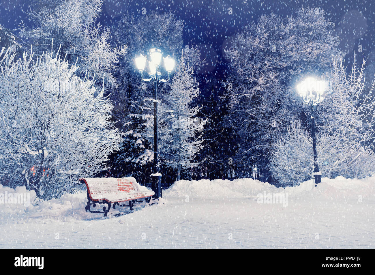 Winter Nacht Landschaft Szene Von Schnee Bedeckt Bank Unter Verschneiten Winter Baume Und Leuchten Stockfotografie Alamy