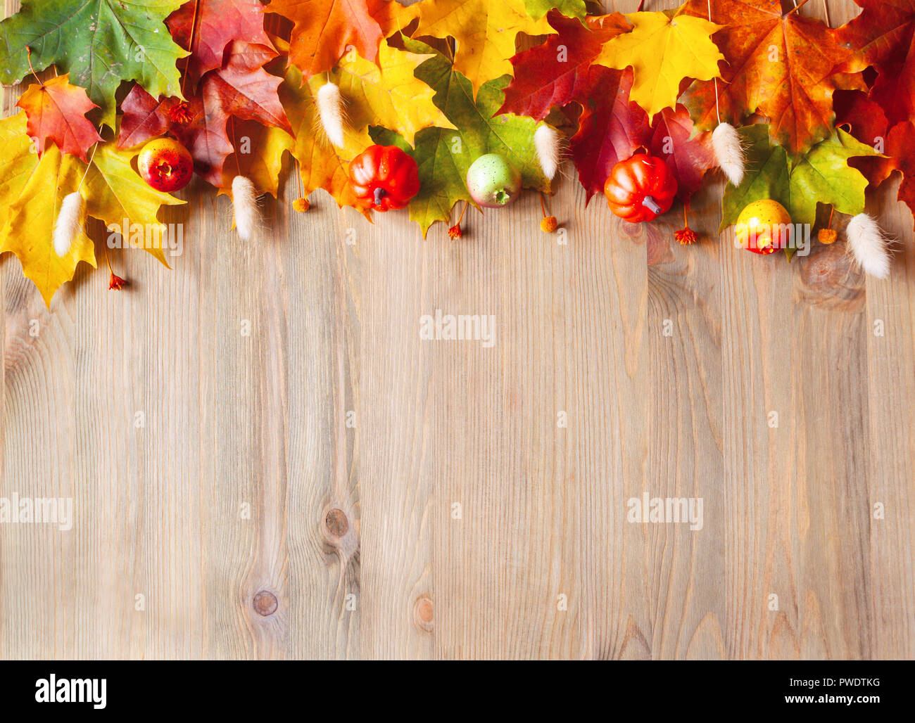Herbst Hintergrund. Ahorn verschiedenfarbige Blätter im Herbst auf der hölzernen Hintergrund mit Freiraum für Text Stockfoto
