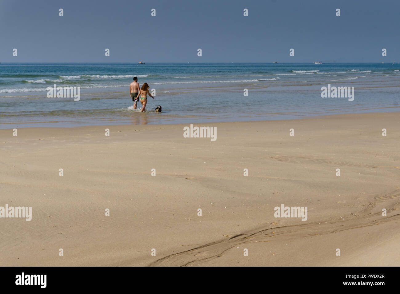 Romantisches Paar zu Fuß am Strand entlang mit einem Hund. Liebevolle reifes Paar ein Spaziergang am Meer mit Hund. Stockfoto