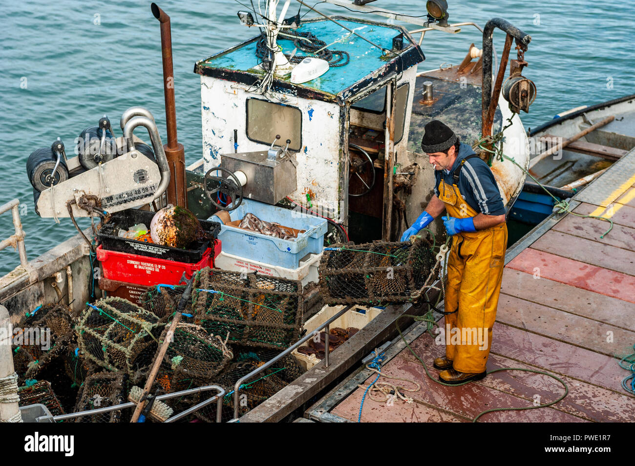 Schull, West Cork, Irland. 15 Okt, 2018. Ein einheimischer Fischer entlädt crab Töpfe aus seinem Boot vor dem Entladen seinen Fang von Krebsen. Der Tag sonnig mit ungeklärten Wettervorhersage für den Rest der Woche bleiben. Credit: Andy Gibson/Alamy Leben Nachrichten. Stockfoto