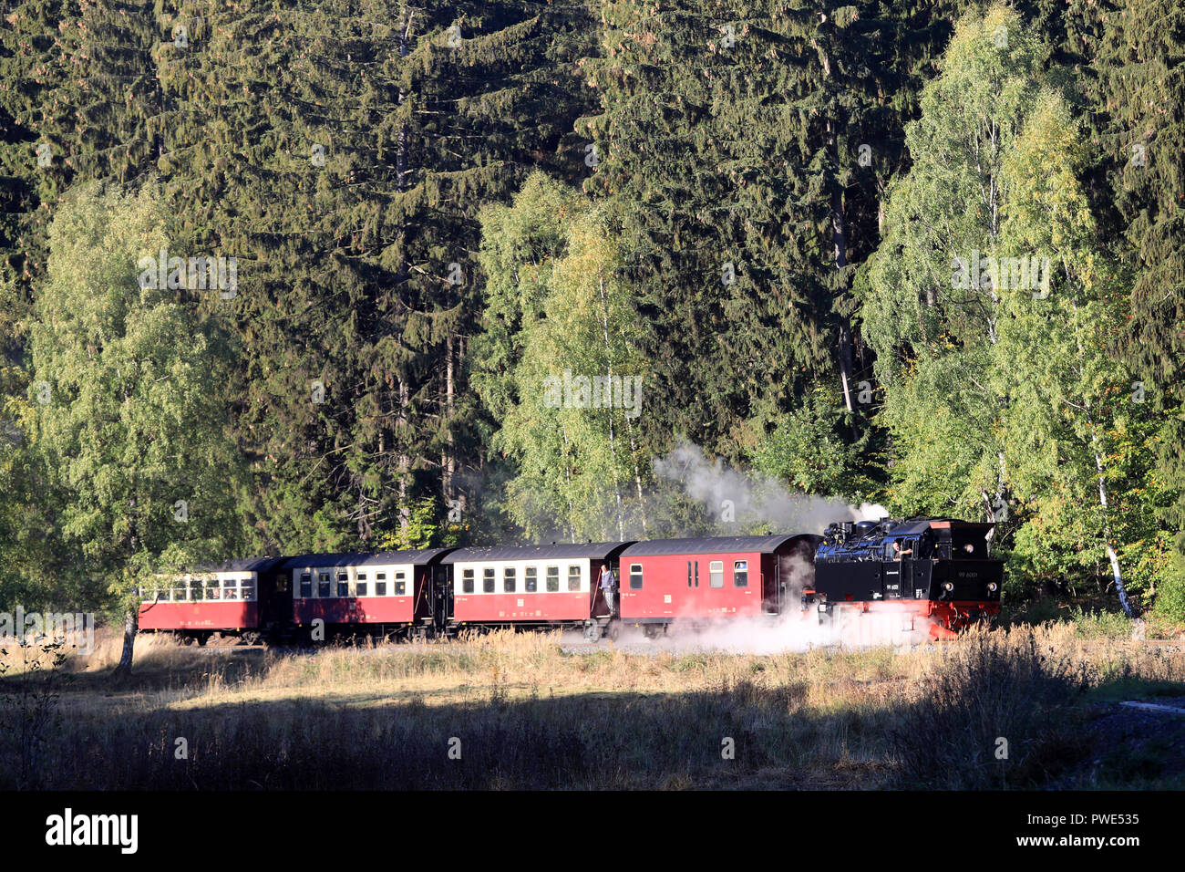 11 Oktober 2018, Sachsen-Anhalt, Gernrode: ein Zug der Harzer Schmalspurbahn (HSB, "Harzer Schmalspurbahn"), die durch die herbstlichen Selketal in der Nähe von gernrode im Harz. Seit ein paar Tagen die Lokomotive mit der Nummer 99 6001 hier wieder ausgeführt worden ist. Die dampflokomotive von der Firma Krupp am 01. Juli 1939 geliefert wird per Bahn Fans eines der Juwelen der Bahn und zu dieser Zeit sein, eine maximale Geschwindigkeit von 50 Kilometer pro Stunde erreicht. Die Gernrode-Harzgeroder Eisenbahn-Gesellschaft (GHE) eröffnete den ersten Meter lane Eisenbahn im Harz 1887. Stockfoto