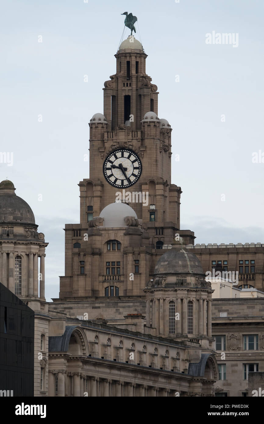 Liverpool waterfront Gebäude mit Cunard Gebäude im Vordergrund und Leber Gebäude dahinter. Stockfoto