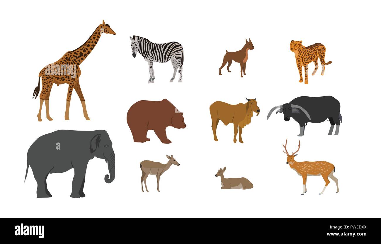 Tier Sammlung, Giraffe, Elefant, Zebra, Tiger, Hund, Braunbär, Kuh, Büffel, Antilopen, Rotwild auf weißem Hintergrund Stock Vektor