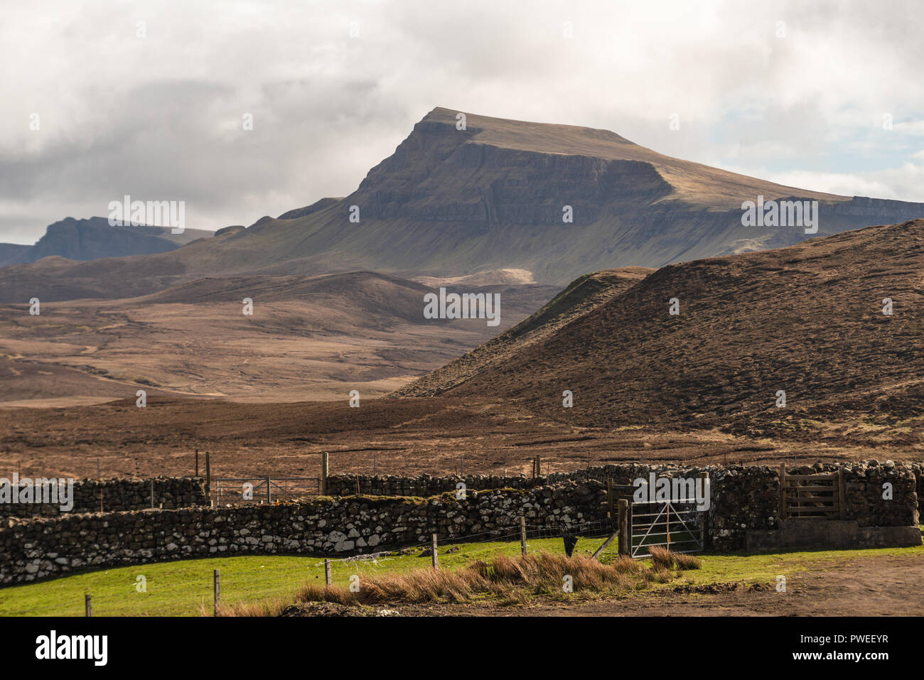 Zaun und wlls vor der Quiraing, trotternish Ridge, Isle of Skye, Schottland, Großbritannien Stockfoto