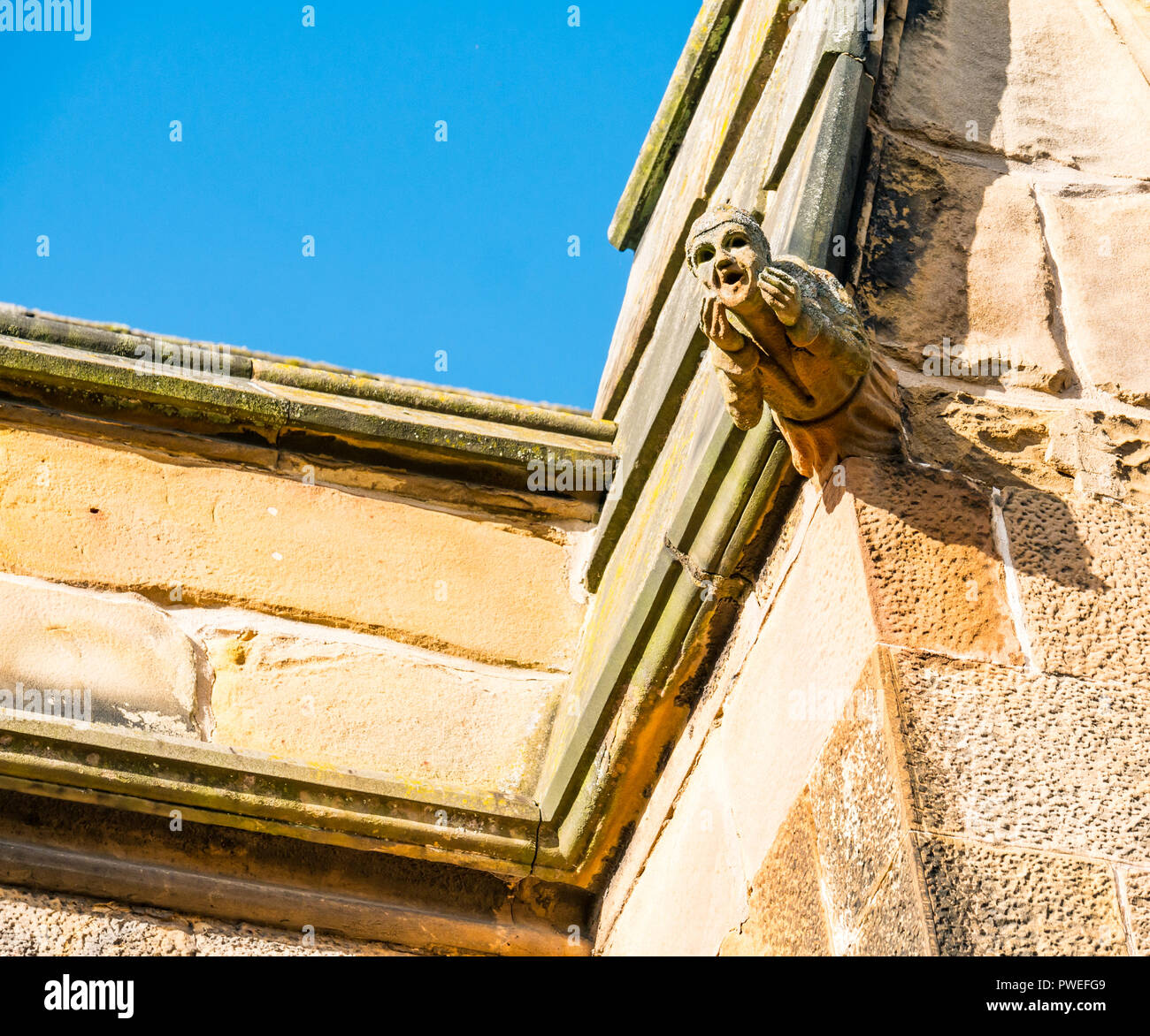 Erodiert Sandstein gargoyle Mit überraschten Gesicht, St. Mary's Episcopal Church, Dalkeith, Midlothian, Schottland, Großbritannien Stockfoto