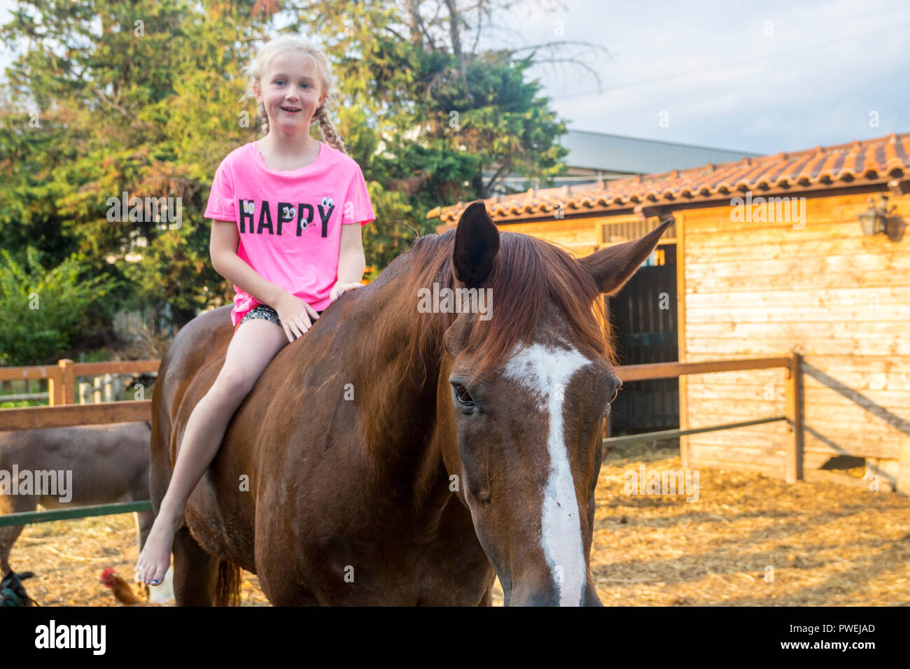 Kind, Kind Kinder Mädchen sitzen auf dem Pferd, Pferd Freude glücklich Konzept, Bauernhof Tier Tiere braun Hengst, ländliche Konzept, Landwirtschaft land, Italien Stockfoto