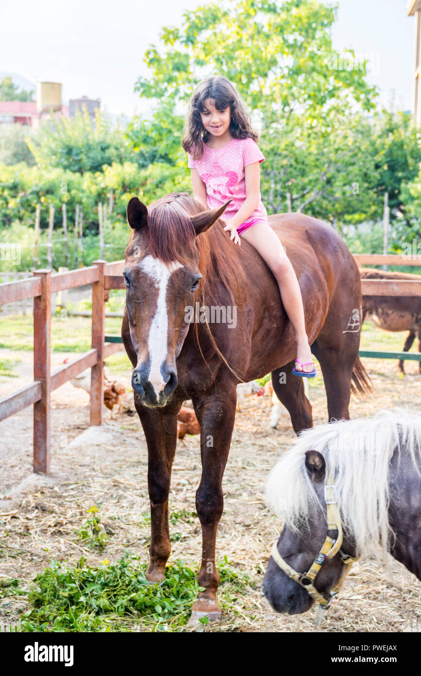 Kind, Kind Kinder Mädchen sitzen auf dem Pferd, Pferd Freude glücklich Konzept, Bauernhof Tier Tiere braun Hengst, ländliche Konzept, Landwirtschaft land, Italien Stockfoto