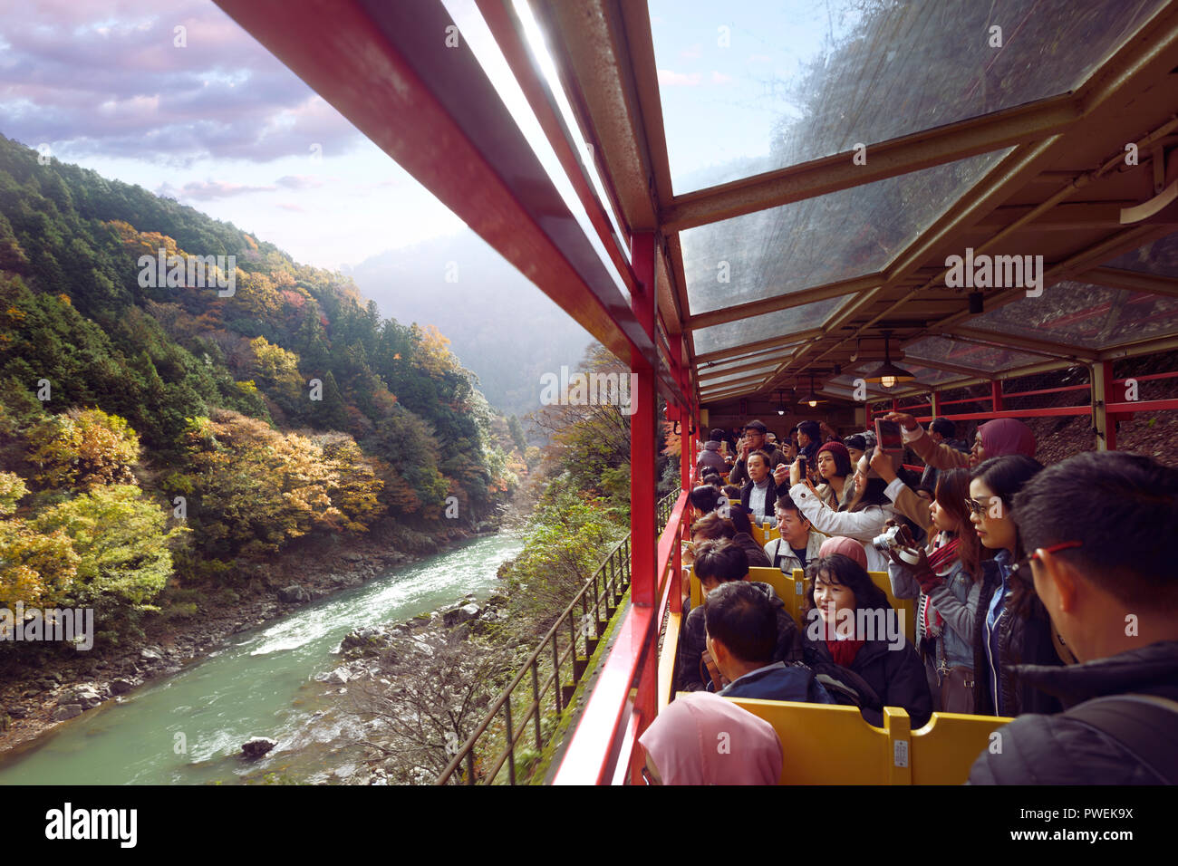 Führerschein erhältlich unter MaximImages.com - Touristen, die Fotos von der Natur der Hozukyo-Schlucht auf der Sagano-Bahn machen, romantische Zugfahrt durch Japan Stockfoto
