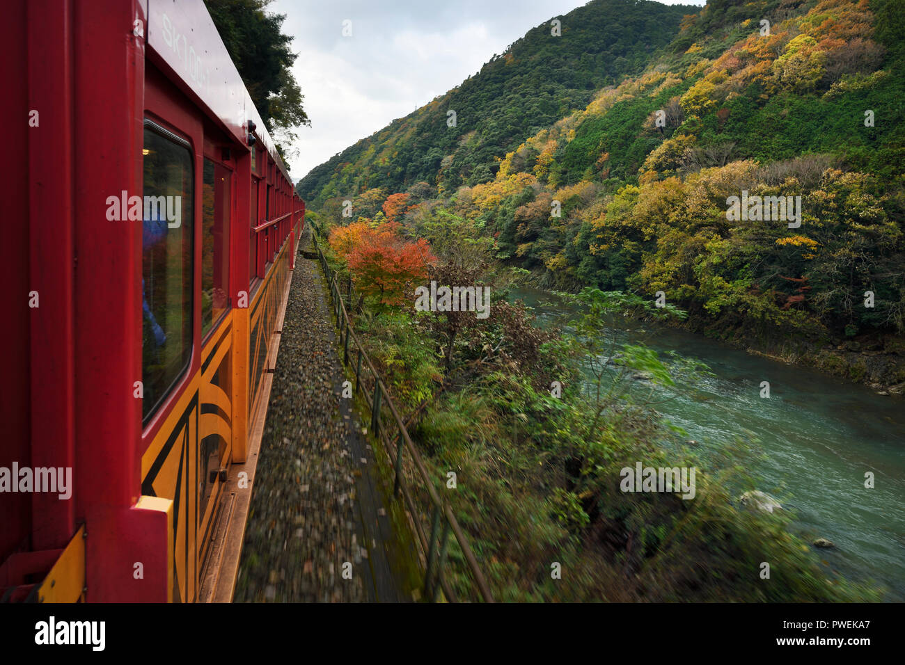 Sagano Sagano Scenic Railway, romantischen Zug, Sightseeing entlang der Schlucht und Hozugawa Hozukyo Fluss im Herbst Natur Landschaft in Kyoto, Japan 2017 Stockfoto