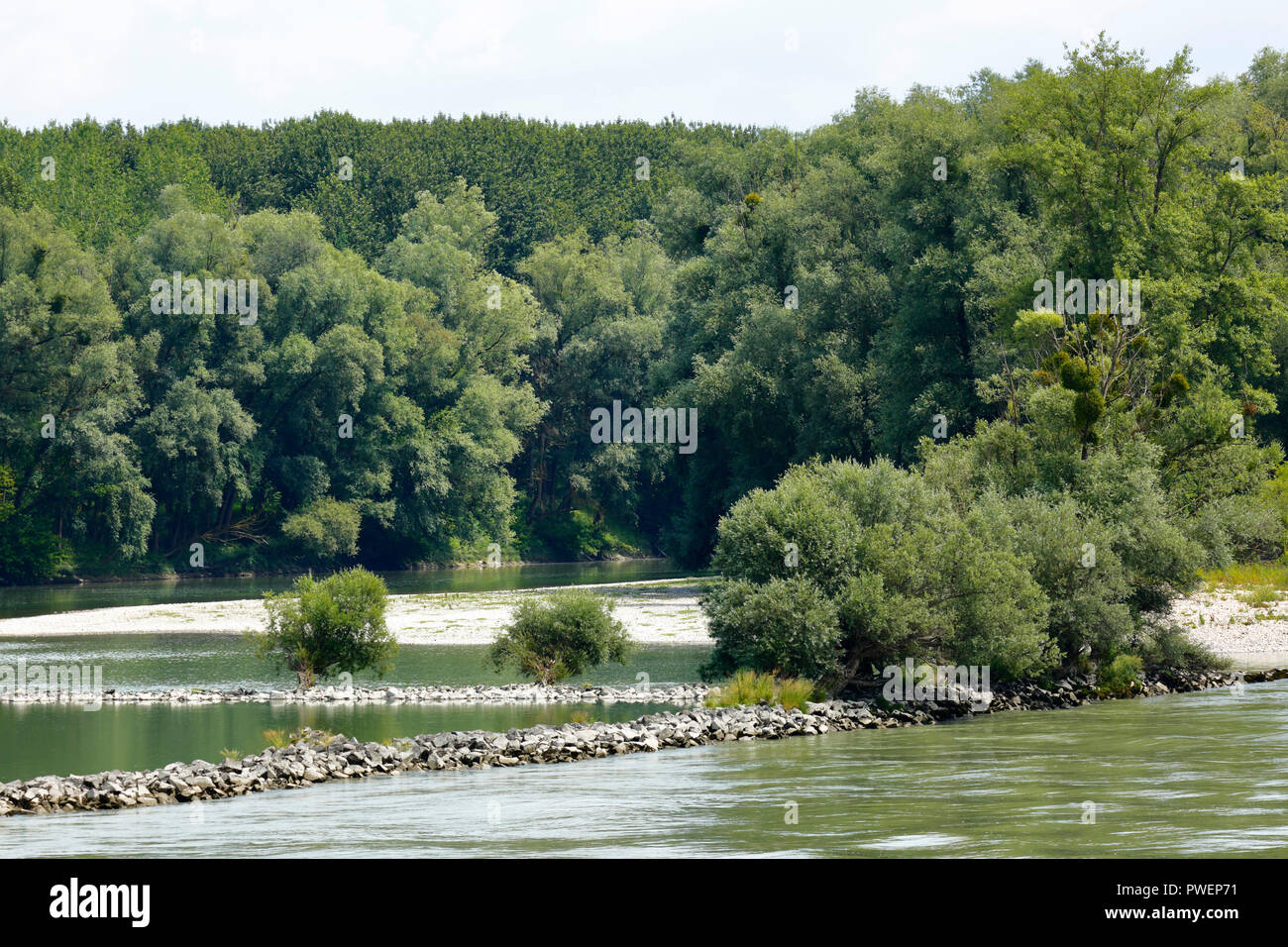 Österreich, Oberösterreich, Mitterkirchen im Machland, Perg Bezirk, Machland, unteren Mühlviertels, Mündung des Huettingen aufgegeben Mäander in die Donau in der Nähe von Mitterkirchen-Huettingen, Estuary, Donau Landschaft, Landschaft, Wald, Auwald, Bottomland, Bäume und Büsche Stockfoto