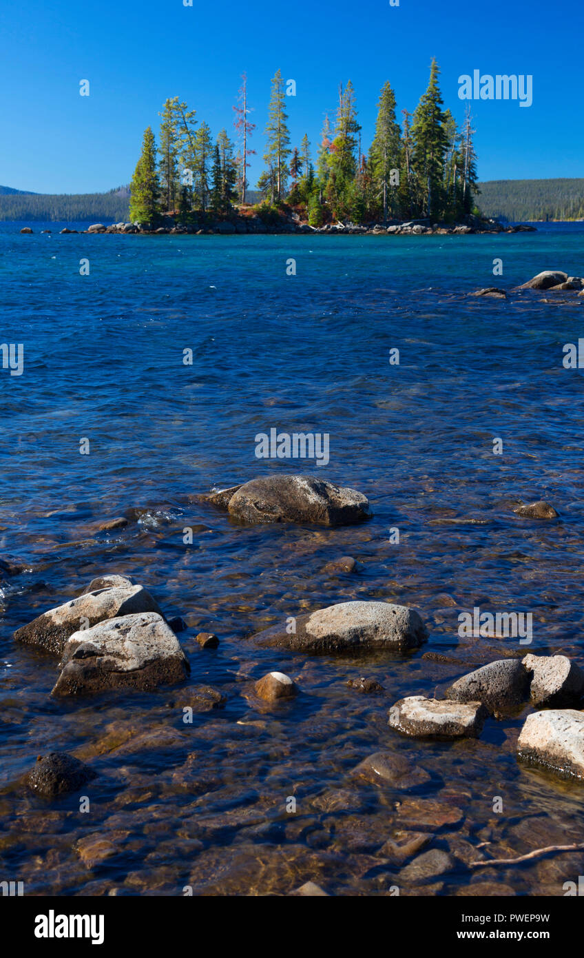 Waldo See aus Shoreline Trail, Waldo Lake State Scenic Wasserstraße, Willamette National Forest, Oregon Stockfoto