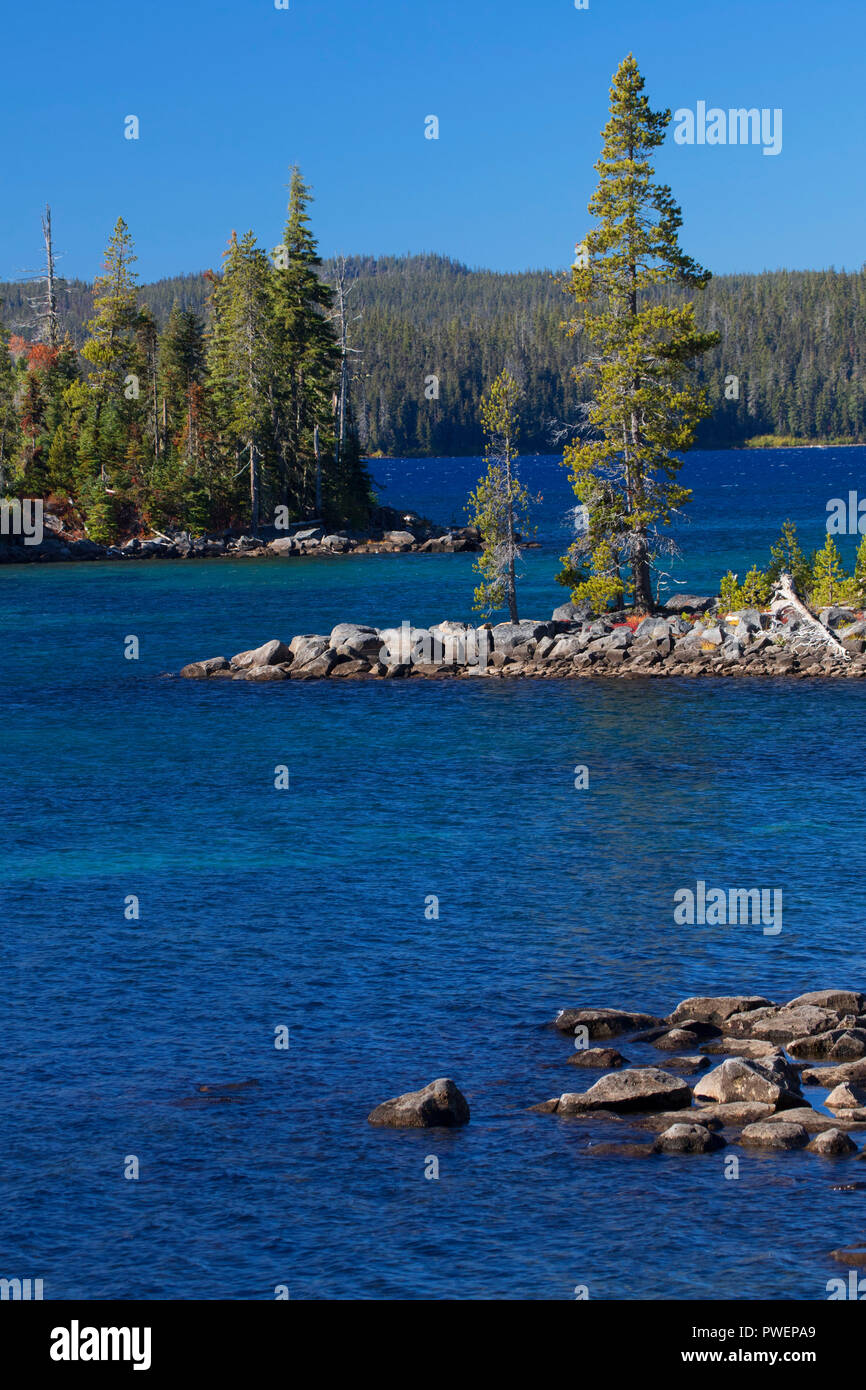 Waldo See aus Shoreline Trail, Waldo Lake State Scenic Wasserstraße, Willamette National Forest, Oregon Stockfoto