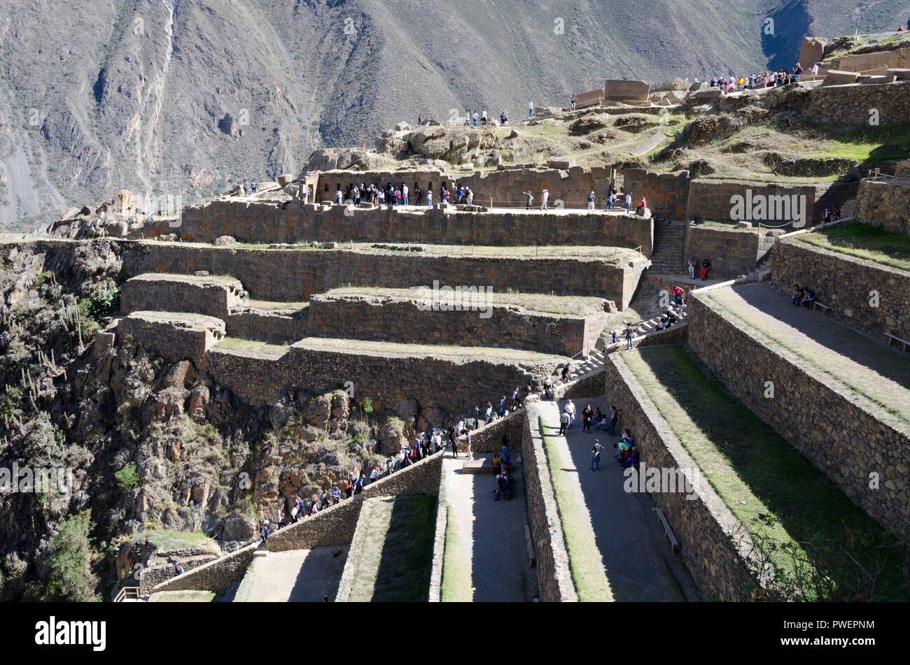 Inca Terrassen, Cusco, Sacred Valley, Peru Stockfoto