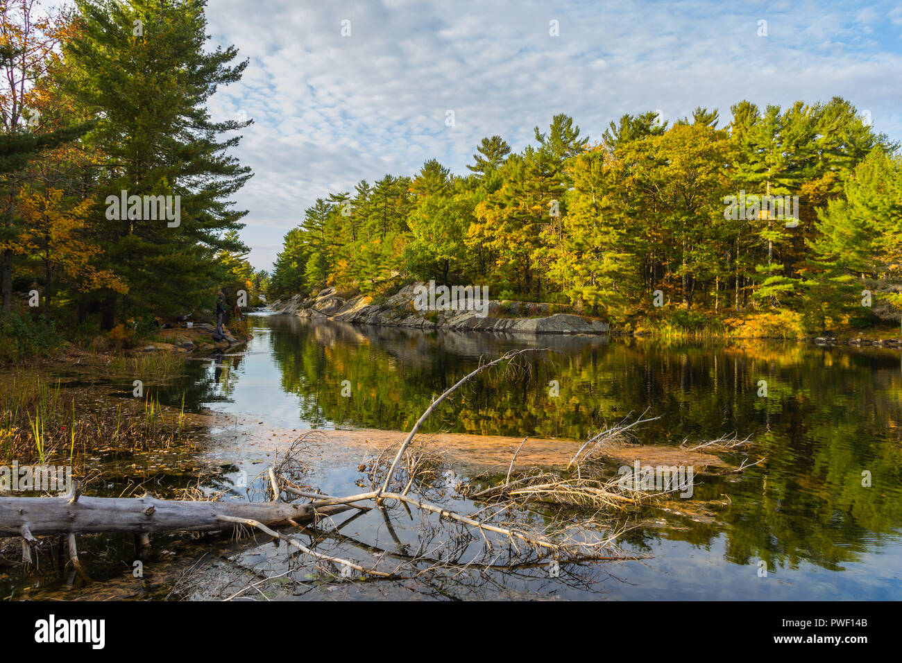 Herbstlandschaft, Fluss, Wolkenhimmel, Muskoka, Ontario, Kanada, natürliche Welt Stockfoto