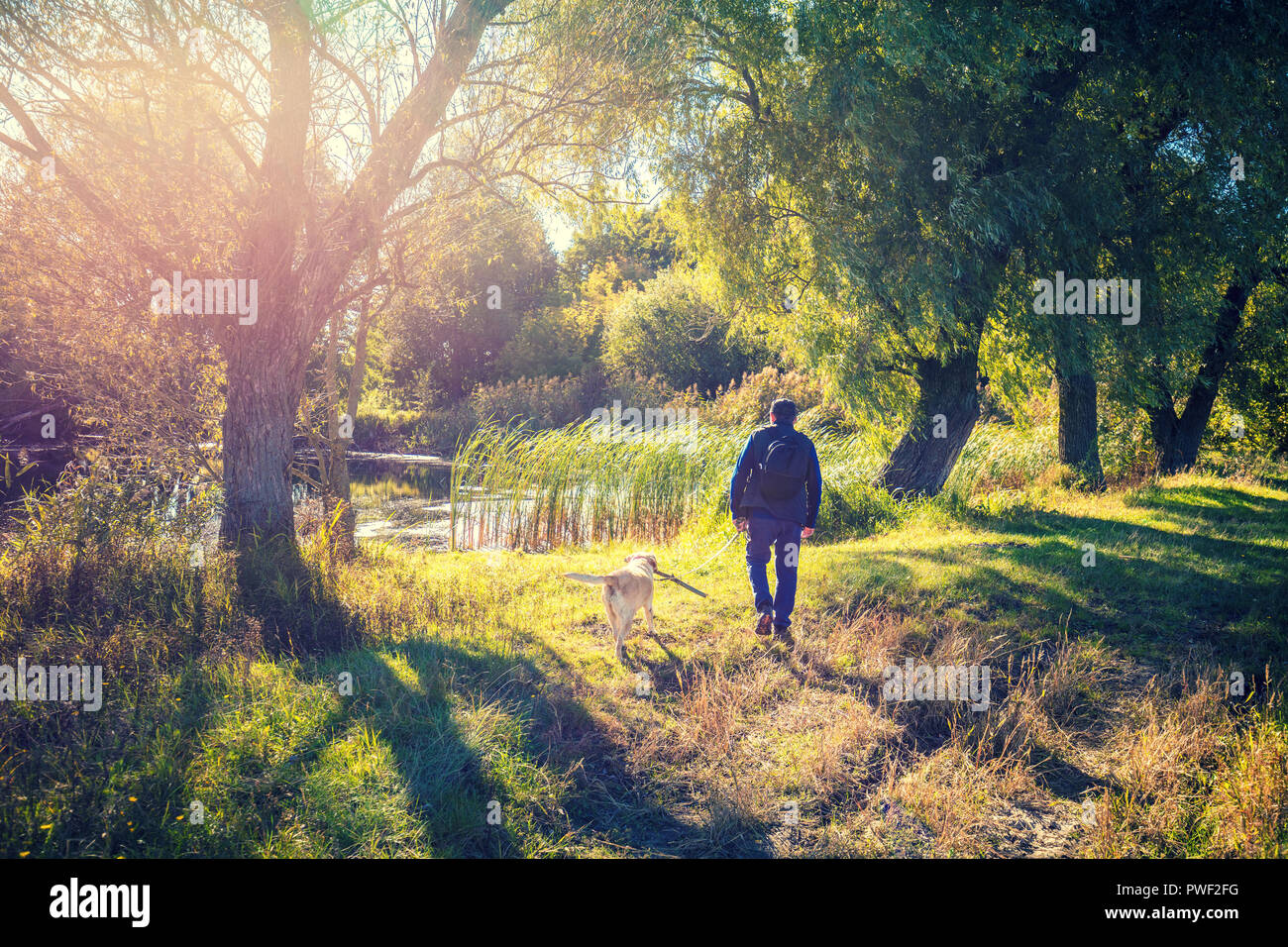 Ein Mann mit Labrador Retriever Hund zu Fuß in der Nähe der See im Park Stockfoto