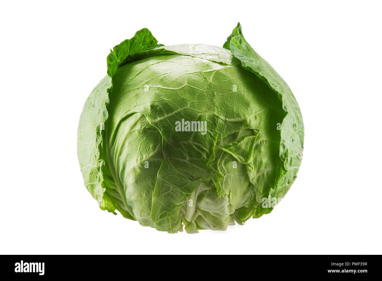 Grünkohl Gemüse auf weißem Hintergrund. Stockfoto