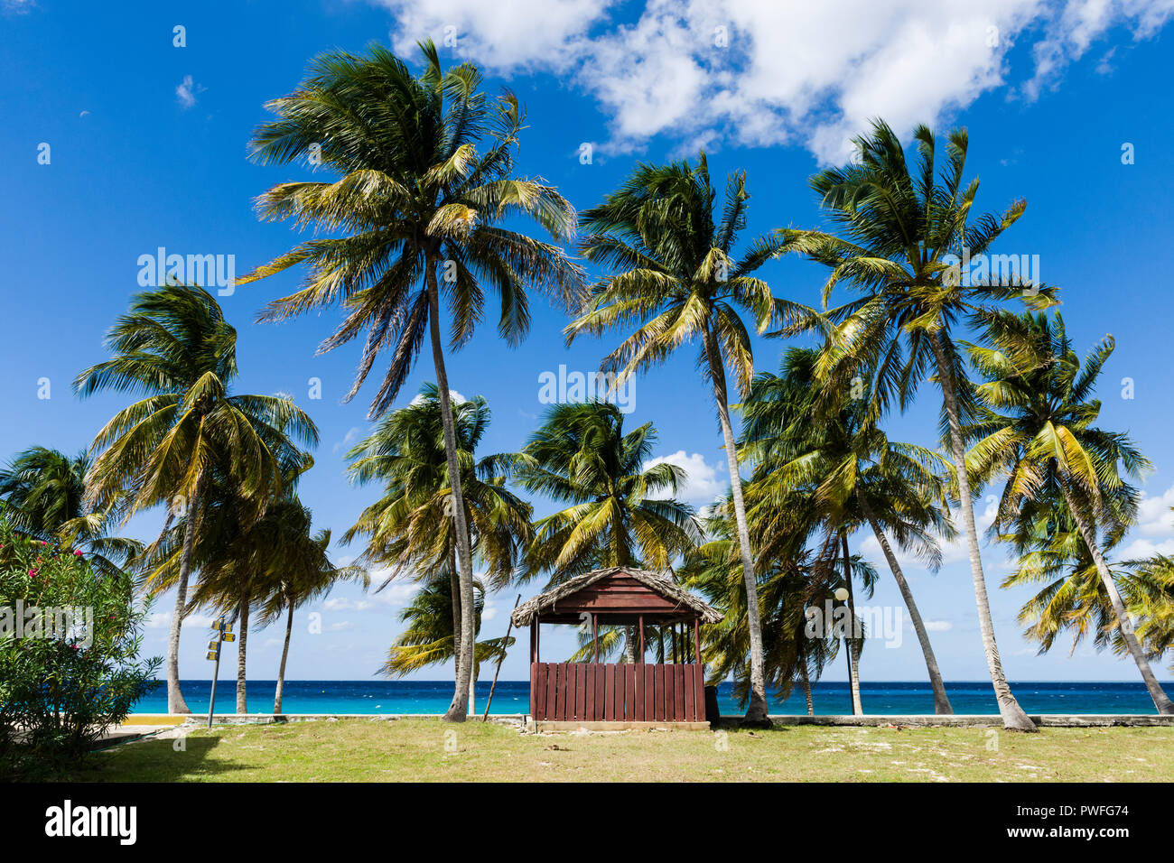 Der Blick vom Hotel Maria La Gorda, eine exzellente Basis für Vogelbeobachtung in Guanahacabibes, Kuba. Stockfoto