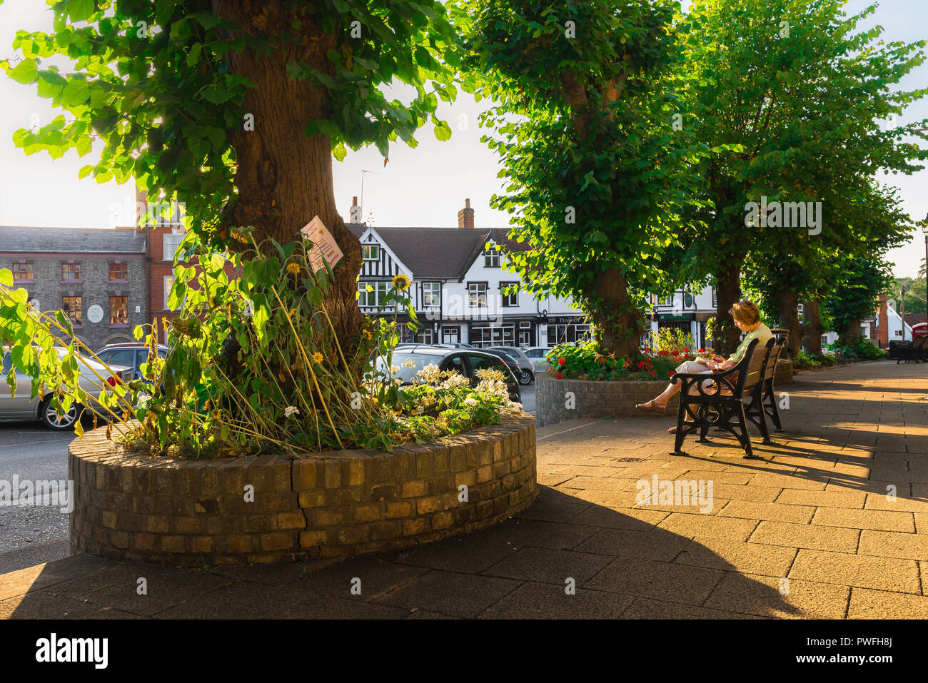 Frau allein im Sommer, Blick auf eine Frau mittleren Alters, die ein Buch liest, während sie auf einer Bank in einer englischen Stadt in Großbritannien sitzt. Stockfoto