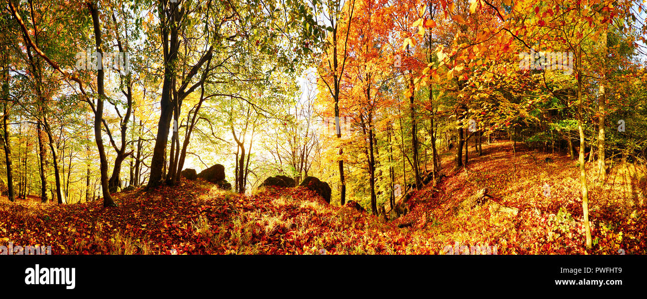 Herbst Wald in die Berge bei Sonnenuntergang mit Sun Stockfoto